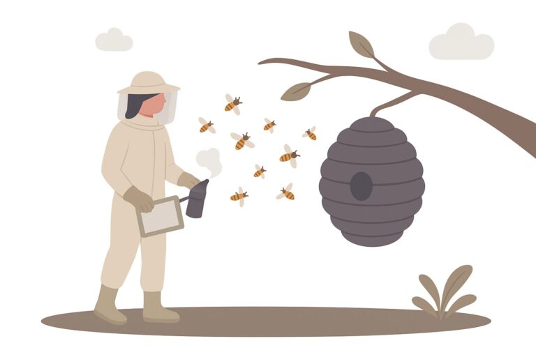 Grafik eines Imkers, der gerade bei seinen Bienen ist
