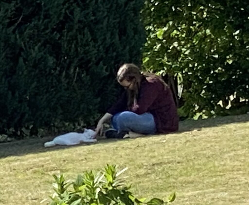 Foto Larissa Lang - Magie mit Worten mit Kylie (komplett weißer Katze) im freien, auf dem Gras sitzend und Kylie streichelnd.